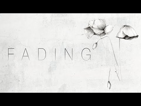 Fading - Myuu