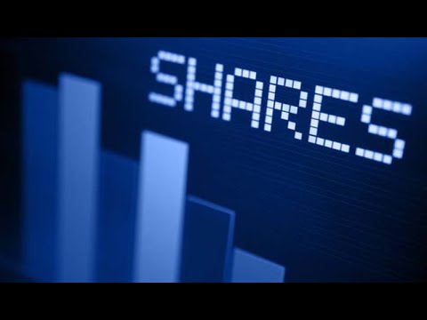 SHARE AND TYPES OF SHARES FOR CA FOUNDATION