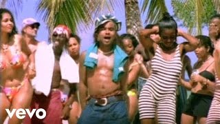 Shaggy, Rayvon - In The Summertime