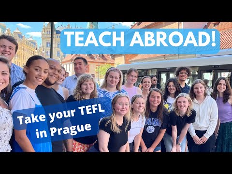 Take This TEFL Course for the Best Experience Possible