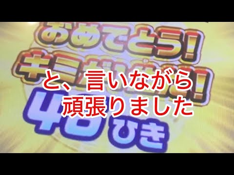 やまパークの休日　釣りスピリッツシンカー