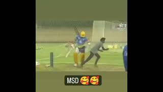 Mahendra Singh Dhoni's Fan in Stadium|#mahi#dhoni#dhonifan#fanmoment#trending#shorts#ipl2023#msdipl