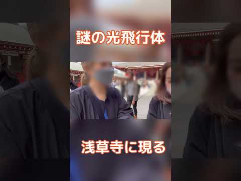 ケサランパサラんじゃないらしい．本当のUMAは、ナチュラルね✨ #vlog #50代 #主婦 #日常 #asakusa #shorts