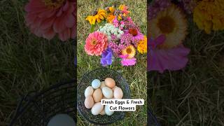 Farm fresh eggs and Fresh cut flowers #garden #flowers #eggs #fresheggs #cutflowers