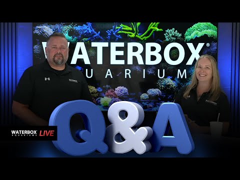 Q&A. Time to answer your questions about aquariums.  Episode #195