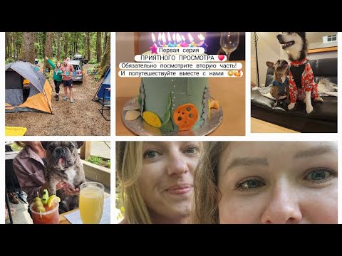 ПЕРВАЯ СЕРИЯ 😂 кемпинг 🏕  друзья и собаки | Океан Штат Орегон | Добра вам #usa #shorts #dogs #сша