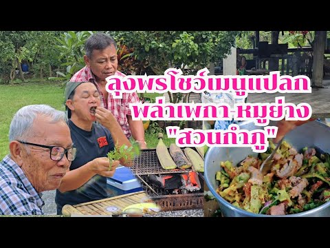 ลุงพรโชว์เมนูเด็ด พล่าเพกา-ใส่หมูย่าง #บ้านสวนกำภูEp1166