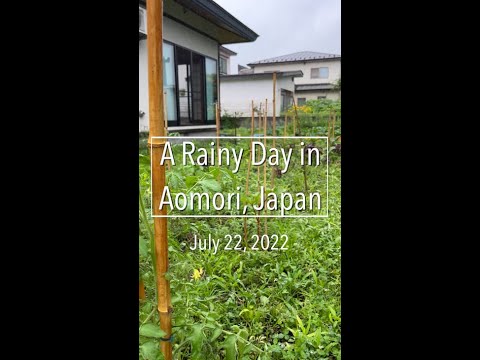 A Rainy Day in My Garden in Japan - The Soothing Sound of Rain and What I'm Growing #shorts