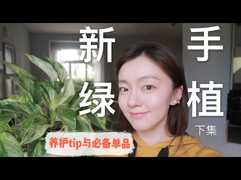 [EP02]室内绿植养护入门指南+必备单品推荐 | Beginner's Houseplant Care Tips And Essential Tools