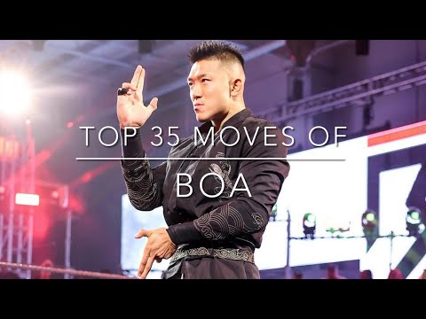 Top 35 Moves of Boa