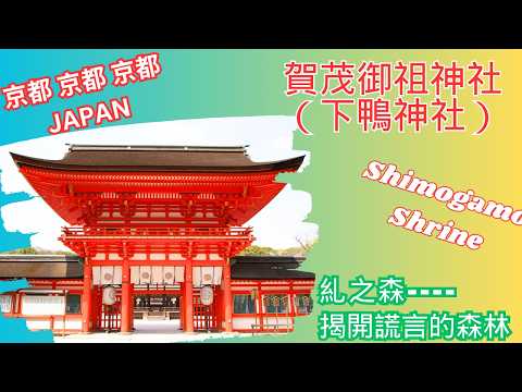 【日本京都旅行】京都下鴨神社（賀茂御祖神社）& 河合神社   #日本自由行 #京都 #下鴨神社 #河合神社 #贺贸神社 #vlog #旅游 #旅行vlog #賀茂御祖神社 #河合神社 #京都自由行