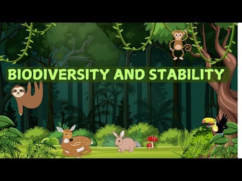 Biodiversity and Stability | Biology Animation