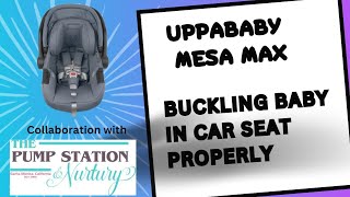 Uppababy Mesa Max, Bucking Baby in Car Seat Properly