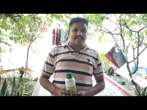 089 Farmer from Aligarh District | Uttar Pradesh | Nano Urea Testimonial