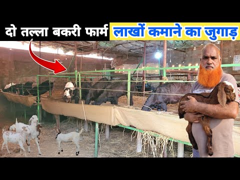 एक गलती 10 लाख का नुकसान 🐐 पर अब लाखों कमाऊंगा | Goat farming in hindi