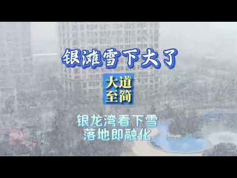 乳山银滩终于下起了比较大点的雪，仅15分钟，落地便融化了