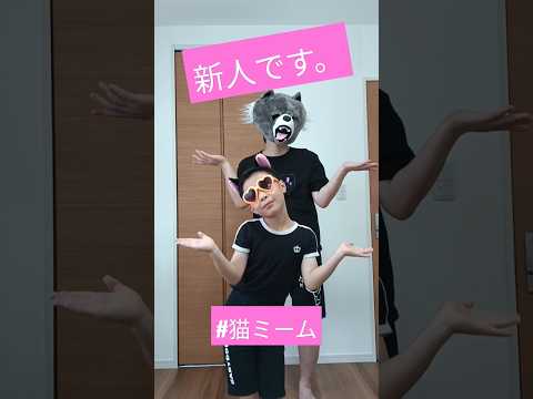 【踊ってみた】新人です。#猫ミーム #funny #cute #cat #dance #踊ってみた #shorts #めちゃシゲTV