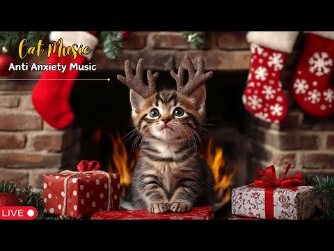 Christmas Piano Music for Cats: Calm Anxiety, Sleep Better & Enjoy the Holiday Peacefully 😺🎄