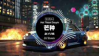 赵方婧 - 芒种 remix chinese dj 2024 (抖音热搜版) [ 最新最火dj抖音版2024 ] 🎶【抖音热门歌曲】抖音 Hot Tiktok Douyin | 芒种 DJ Remix