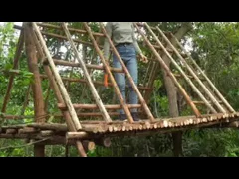 住在这里，晚上应该不用怕野猪了吧。荒野独居 野外建造 野外生存