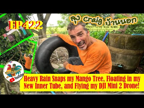 EP422 Heavy Rain Snaps my Mango Tree, Floating in my new Inner Tube, and Flying my DJI Mini 2 Drone!