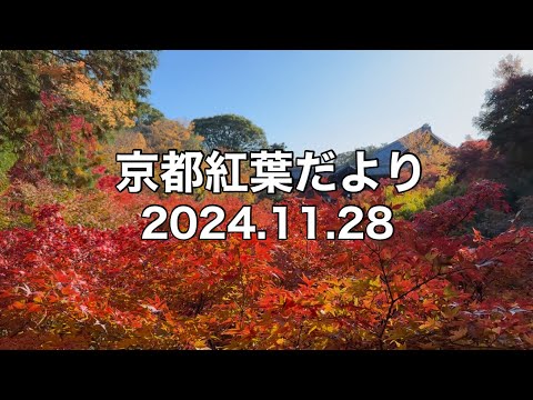 【11/28京都紅葉】嵐山・永観堂・南禅寺・東福寺