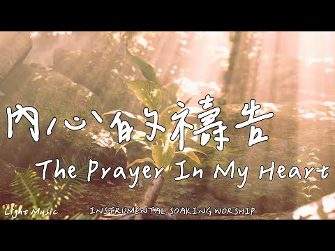 The Prayer In My Heart | Soaking Music | Piano Music | Prayer | 1 HOUR Instrumental Soaking Worship