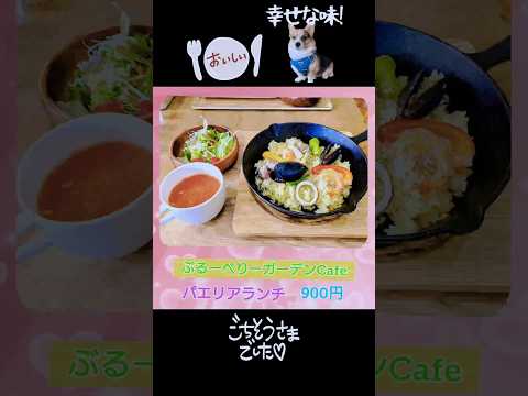 【男鹿ぶるーべりーガーデンCafe】パエリアランチ🥘 カフェ飯 #パエリア #美味しいパエリア #shorts #カフェランチ #外食 #食事 #ランチ #休日ランチ #男鹿グルメ #ごちそうさま