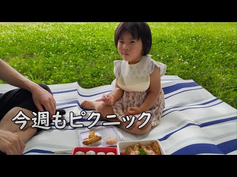 2週続けてピクニックを満喫する2歳児