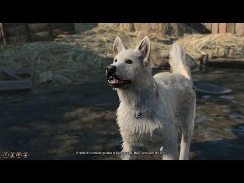 All companions’ reactions when Scratch is too tired to fetch his ball (New)