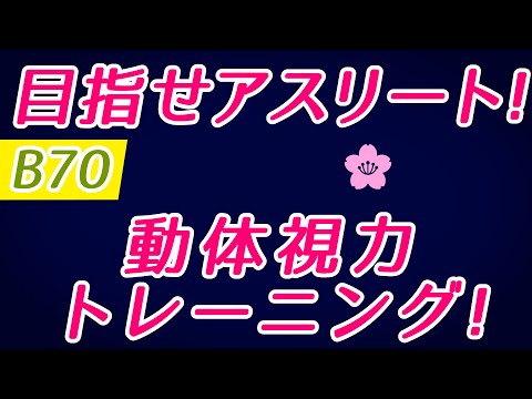 【Daily Eye Training】目指せアスリート！動体視力/周辺視野UP！vol.070