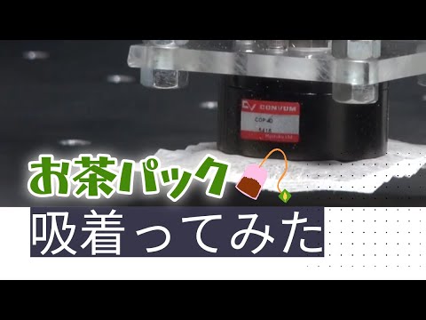 【吸着ってみた】お茶パック【コンバム】