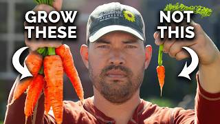 Watch This BEFORE You Plant Carrots 🥕