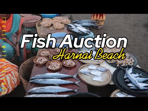 Harnai fish auction