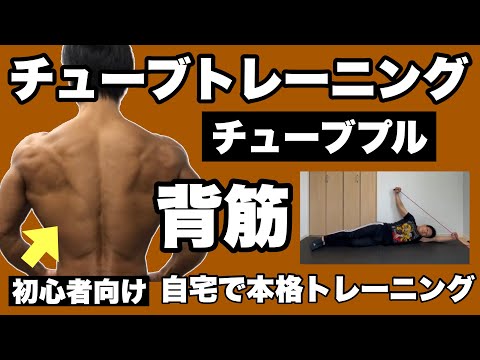 【背中】寝たまま背中のトレーニング！初心者向けチューブトレーニング