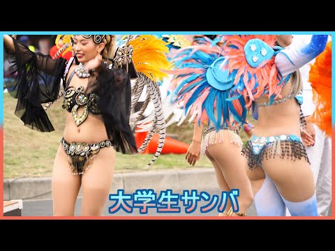 4K 大学生サンバ ウニアン 草加よさこいサンバフェスティバル 2023 Samba