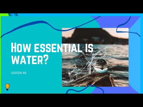 How essential is water? |Reasons why do we drink water|