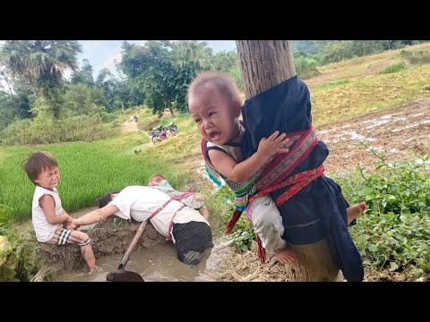 Full Video: Poor mother and children harvest agricultural and forestry products to sell