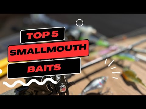 Top 5 Smallmouth Bass Baits Anyone Can Use