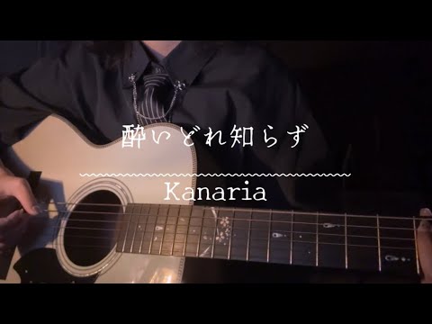 【弾き語り】酔いどれ知らず/Kanaria （1番のみ）