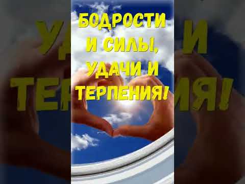 С добрым  весенним утром!🌞#shorts