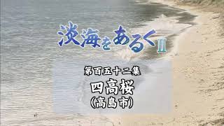 淡海をあるく　四高桜　高島市