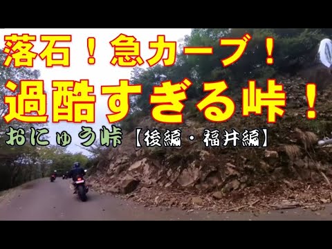 【バイクツーリング】おにゅう峠後編　福井・小浜側はマジでライダー泣かせのやばい道だった！＃おにゅう峠＃メタセコイヤ＃白髭神社＃酷道＃険道