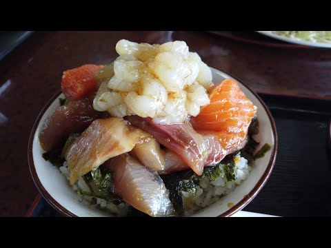 【鳥取県琴浦町】ゴールデンウィーク混雑予想はMAX‼️並んででも食べたい絶品海鮮丼😋甘くてとろ〜り「モサエビ」にビックリ〜