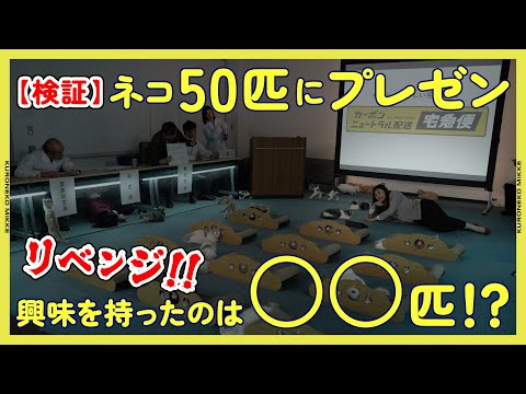 【リベンジ検証】50匹中何匹のネコが“ヤマト運輸の環境への取り組み”に興味を持つの!?【専門家指導】#クロネコみっけ #検証 #モニタリング #カーボンニュートラル #サステナビリティ #SDGs