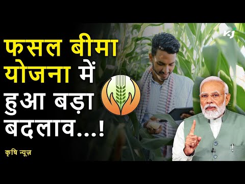 PM Fasal Bima Yojana पर Modi Cabinet का बड़ा फैसला, Shivraj Singh Chouhan ने कही बड़ी बात | Ashwini