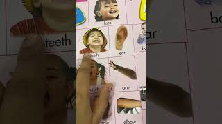 Body parts name with pictures #bodypartsnameforkids #bodyparts #name #kidsstudytime