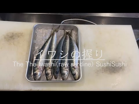 【江戸前寿司】鰯（いわし）の仕込みから握り寿司になるまで！　How to make Iwashi(vinegared sardine) Sushi