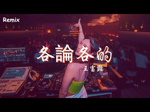 王富貴 - 各論各的 - [慢搖DJ舞曲] - 2023年最勁爆的DJ歌曲  - [Chinese Dj Remix 2023]