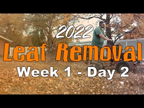 2022 Leaf Removal (Week 1 - Day 2)